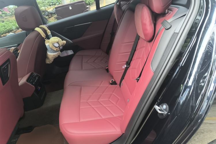 Used BMW 5 Series 2024 530Li Leading Model M Sport Package Left Rear Seat
