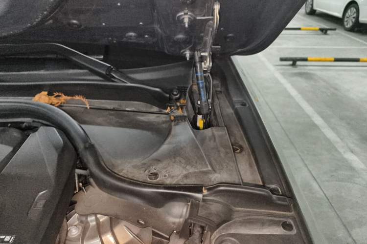 Used BMW 5 Series 2024 530Li Leading Model M Sport Package Engine Bay Left