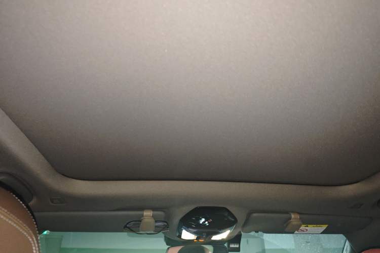 Used BMW 5 Series 2024 530Li Leading Model M Sport Package Headliner