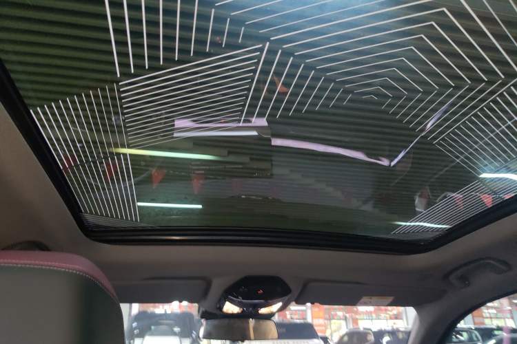 Used BMW 5 Series 2024 530Li Luxury Edition M Sport Package Headliner