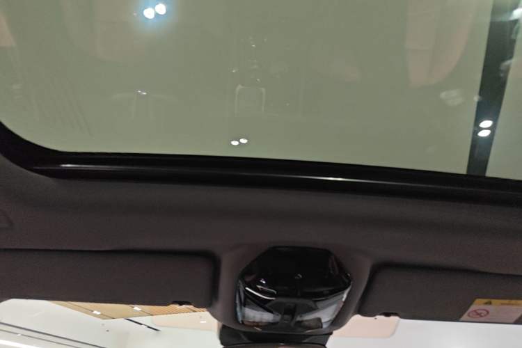 Used BMW 5 Series 2024 530Li Luxury Edition M Sport Package Headliner