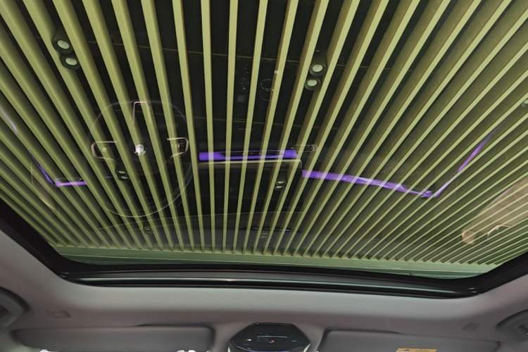 Used BMW 5 Series 2024 530Li Leading Model M Sport Package Headliner