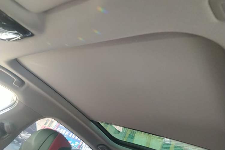 Used BMW 5 Series 2024 530Li Luxury Package Premium Edition Headliner