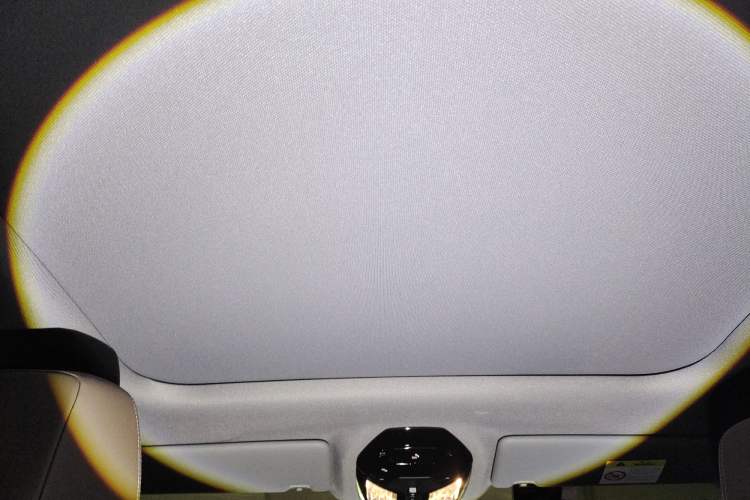 Used BMW 5 Series 2024 525i M Sport Package Headliner
