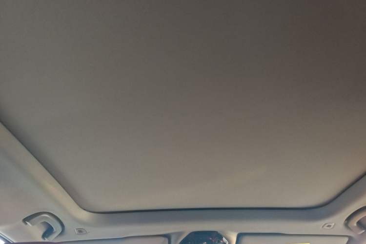 Used BMW 5 Series 2024 530Li Leading Model M Sport Package Headliner
