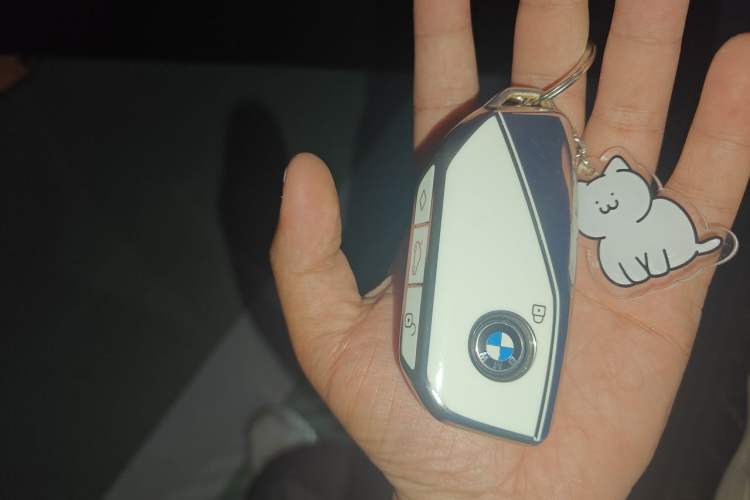 Used BMW 5 Series 2024 530Li Leading Model M Sport Package Vehicle Key