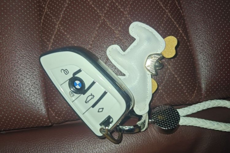 Used BMW 5 Series 2024 530Li Luxury Package Premium Edition Vehicle Key