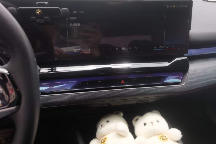 Used BMW 5 Series 2024 530Li Leading Luxury Package Audio And AC Panel