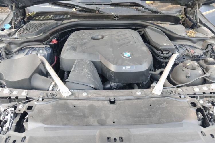 Used BMW 5 Series 2024 530Li Luxury Edition M Sport Package Engine Bay