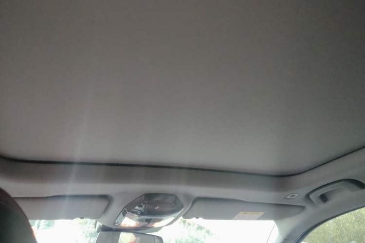 Used BMW 5 Series 2024 530Li Luxury Edition M Sport Package Headliner