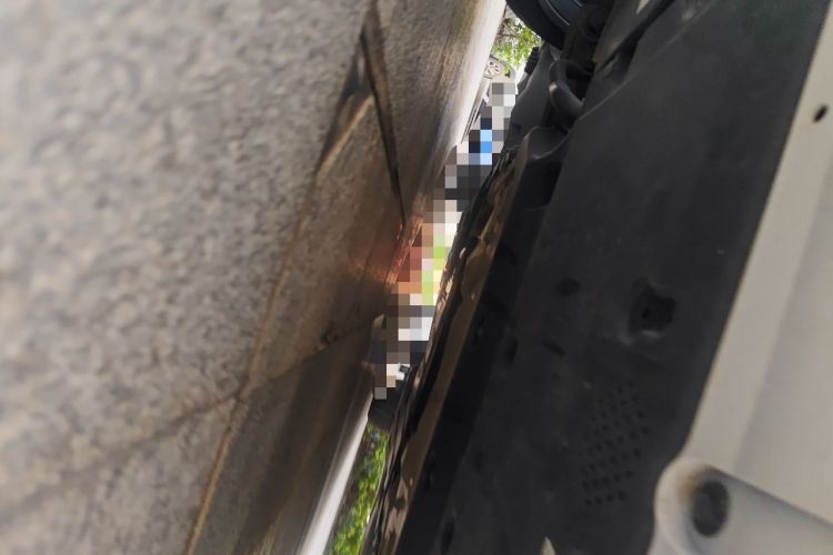 Used BMW 5 Series 2024 525i M Sport Package Chassis Front
