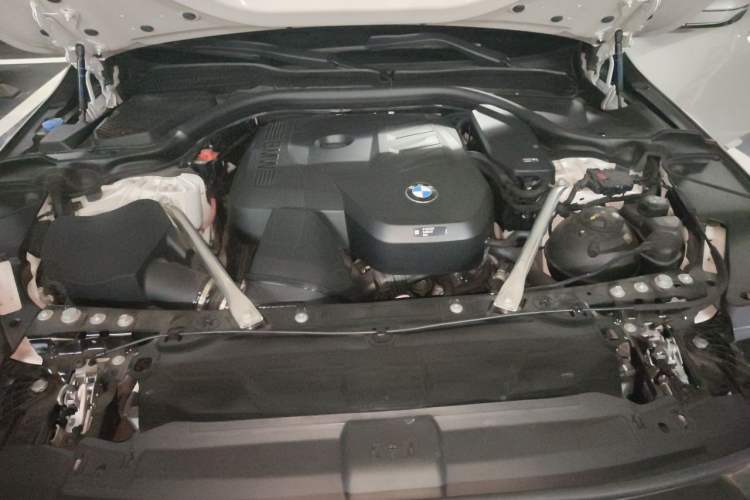 Used BMW 5 Series 2024 530Li Luxury Edition M Sport Package Engine Bay