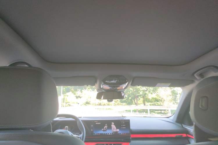 Used BMW 5 Series 2024 530Li Luxury Package Premium Edition Headliner