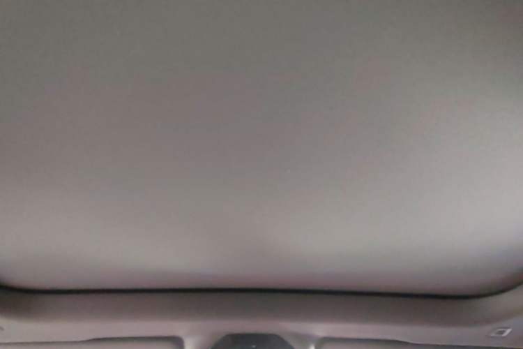 Used BMW 5 Series 2024 530Li Leading Model M Sport Package Headliner