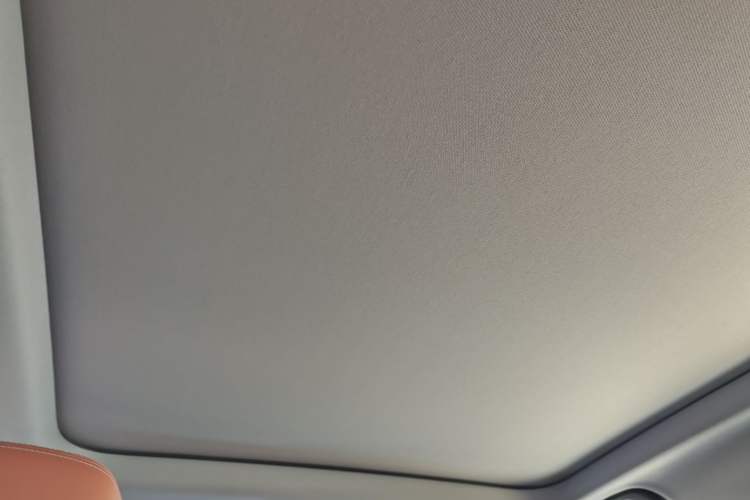 Used BMW 5 Series 2024 530Li Leading Luxury Package Headliner