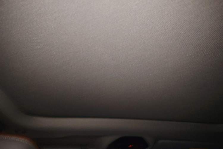 Used BMW 5 Series 2024 530Li Luxury Edition M Sport Package Headliner