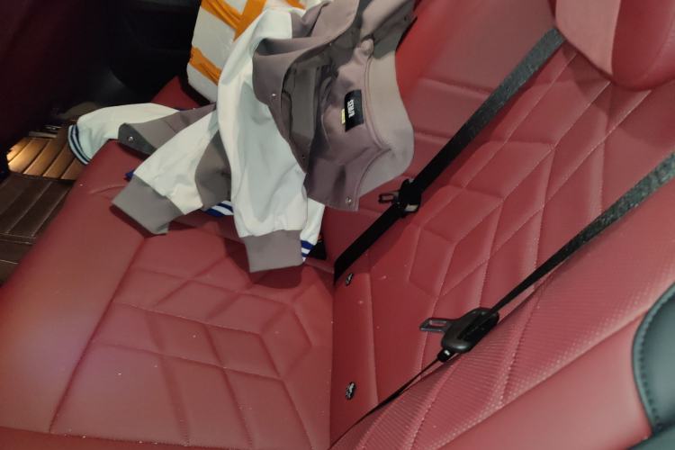 Used BMW 5 Series 2024 530Li Leading Luxury Package Left Rear Seat