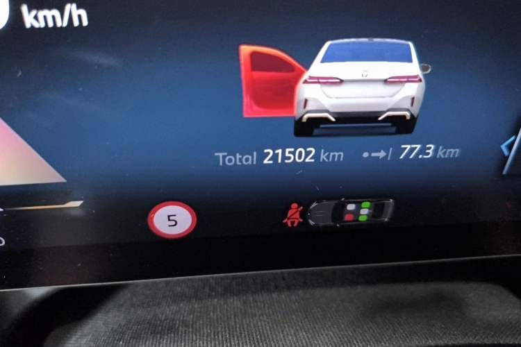 Used BMW 5 Series 2024 530Li Luxury Edition M Sport Package Odometer Close Up