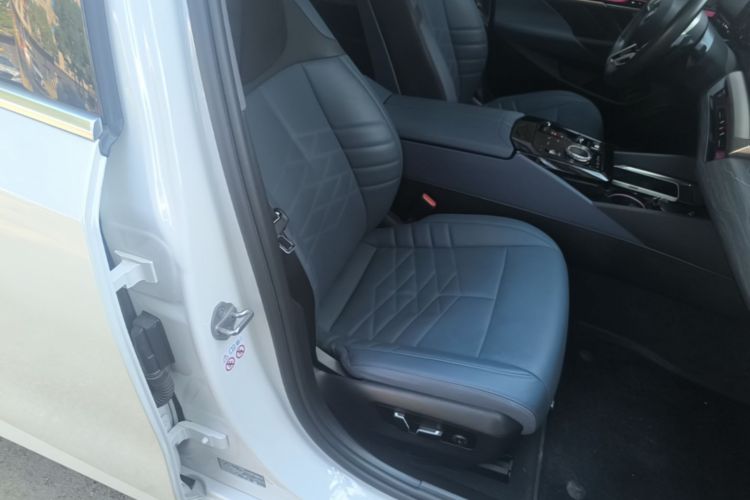 Used BMW 5 Series 2024 530Li Luxury Edition M Sport Package Right Front Seat