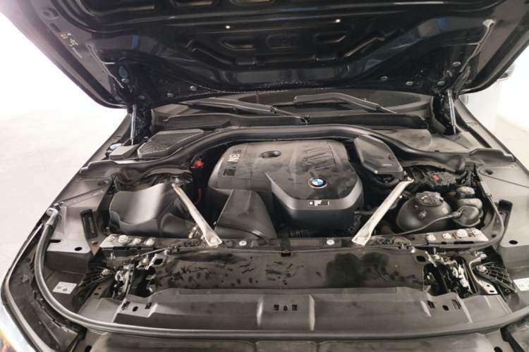Used BMW 5 Series 2025 530Li Luxury Edition M Sport Package Engine Bay