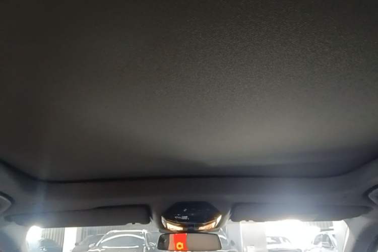 Used BMW 5 Series 2025 525Li M Sport Package Headliner