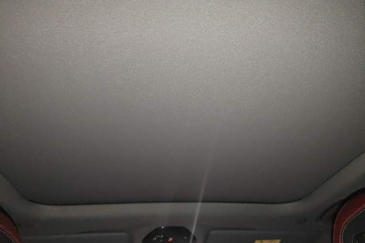 Used BMW 5 Series 2025 530Li Luxury Edition M Sport Package Headliner