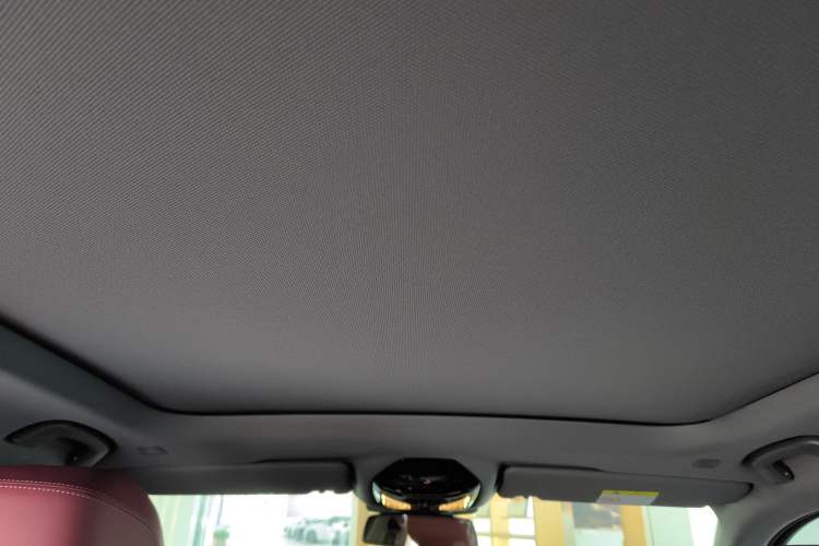 Used BMW 5 Series 2025 530Li Leading Model M Sport Package Headliner
