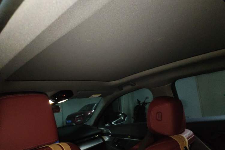 Used BMW 5 Series 2025 530Li Leading Model M Sport Package Headliner