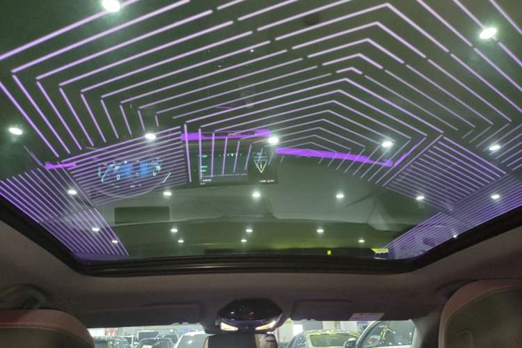 Used BMW 5 Series 2025 530Li Luxury Edition M Sport Package Headliner