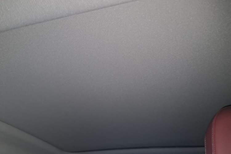 Used BMW 5 Series 2025 530Li Leading Model M Sport Package Headliner