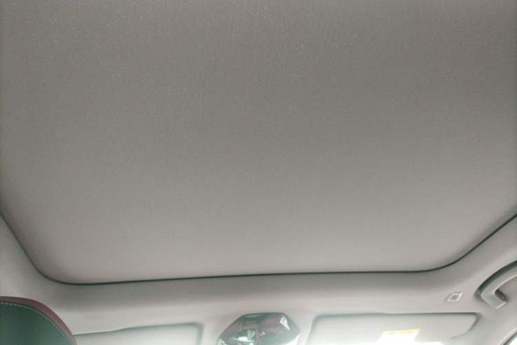 Used BMW 5 Series 2025 530Li Luxury Edition M Sport Package Headliner