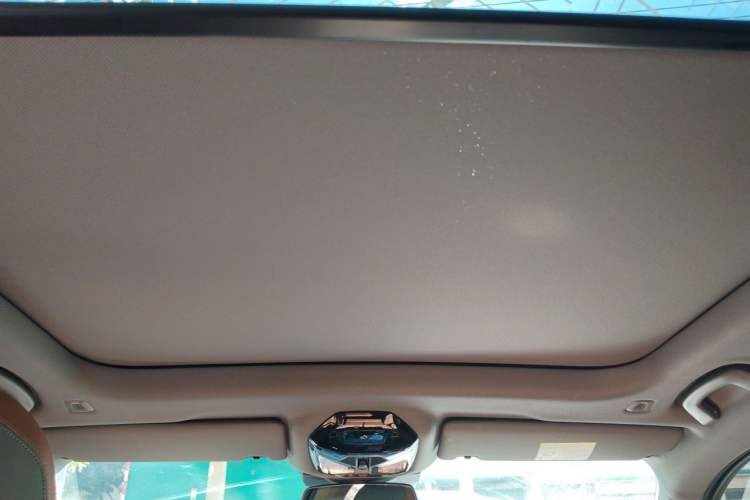 Used BMW 5 Series 2025 530Li Luxury Edition M Sport Package Headliner