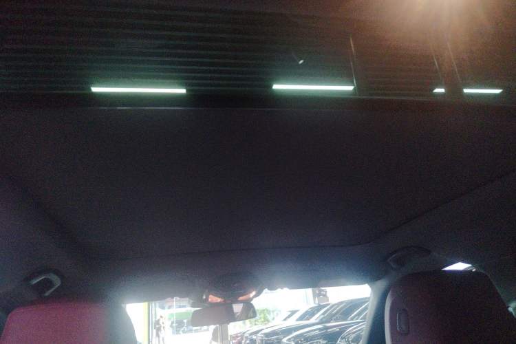 Used BMW 5 Series 2025 530Li Leading Model M Sport Package Headliner