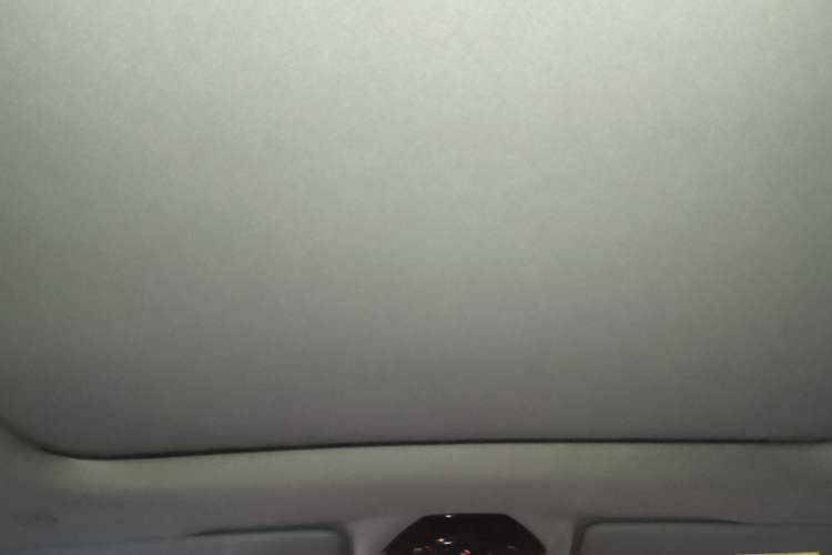 Used BMW 5 Series 2025 530Li Leading Model M Sport Package Headliner