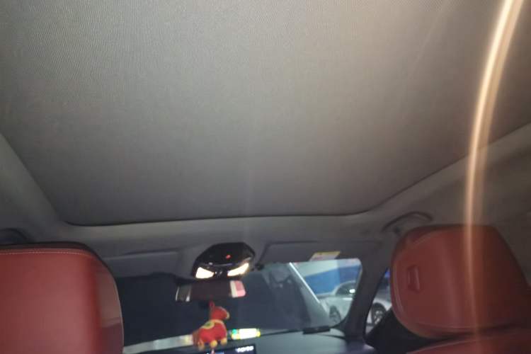 Used BMW 5 Series 2025 525Li M Sport Package Headliner