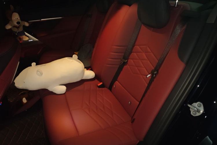 Used BMW 5 Series 2025 530Li Luxury Edition Premium Package Left Rear Seat