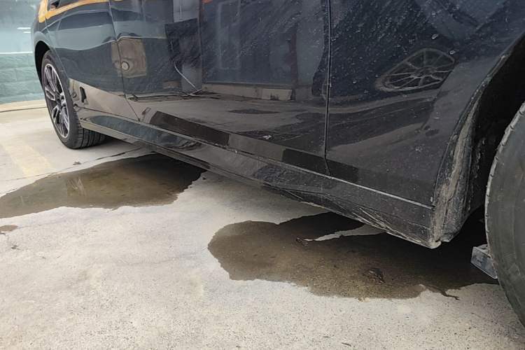 Used BMW 5 Series 2025 530Li Leading Model M Sport Package Right Side Sill