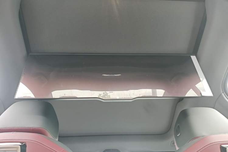 Used BMW 5 Series 2025 530Li Luxury Edition M Sport Package Headliner