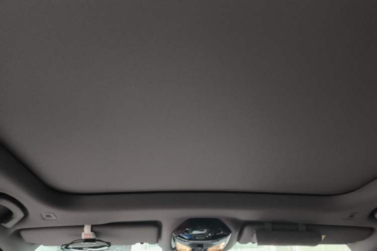 Used BMW 5 Series 2025 530Li Luxury Edition M Sport Package Headliner