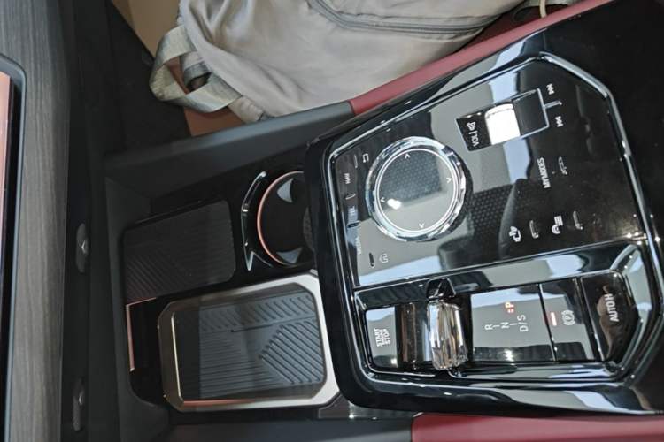 Used BMW 5 Series 2025 530Li Luxury Edition M Sport Package Gear Lever