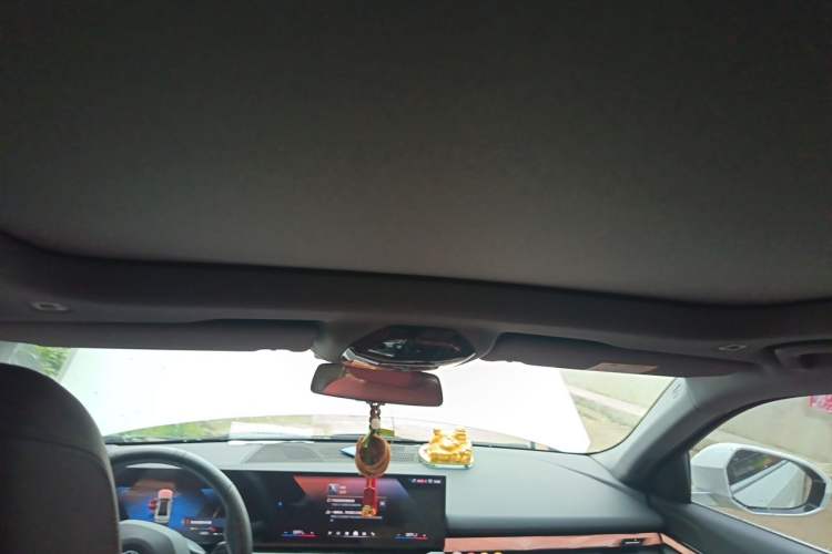 Used BMW 5 Series 2025 525Li M Sport Package Headliner