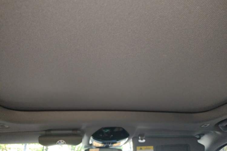 Used BMW 5 Series 2025 530Li Luxury Edition M Sport Package Headliner