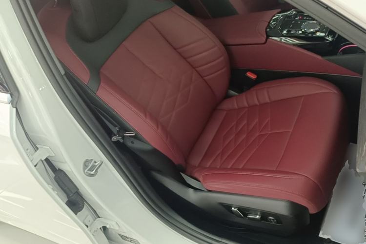 Used BMW 5 Series 2025 530Li Luxury Edition M Sport Package Right Front Seat