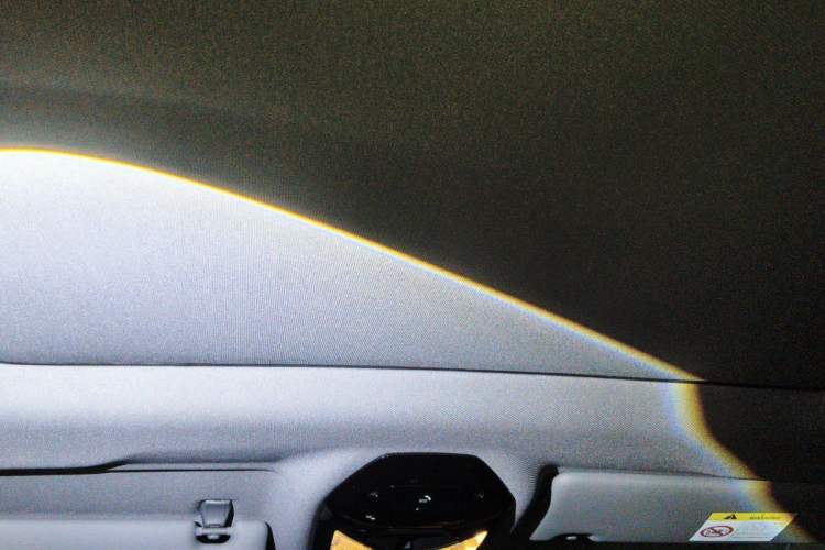 Used BMW 5 Series 2026 530Li Leading M Sport Package Headliner