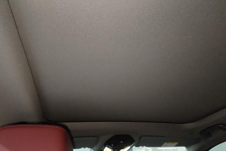 Used BMW 5 Series 2026 530Li Leading M Sport Package Headliner