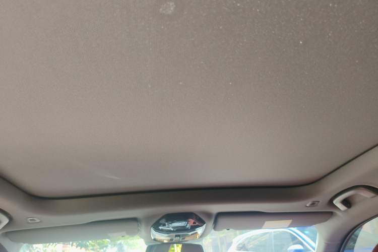 Used BMW 5 Series 2026 530Li Leading M Sport Package Headliner