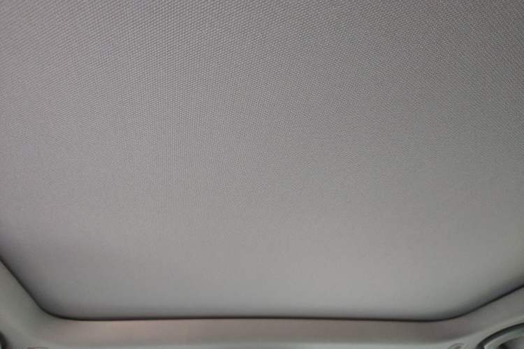 Used BMW 5 Series 2026 530Li Leading M Sport Package Headliner