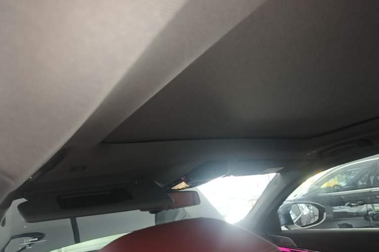 Used BMW 5 Series 2026 Facelift Model 530Li Leading Edition M Sport Package Headliner