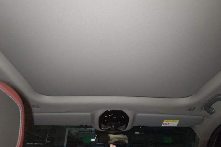 Used BMW 5 Series 2026 Facelift Model 530Li Leading Edition M Sport Package Headliner