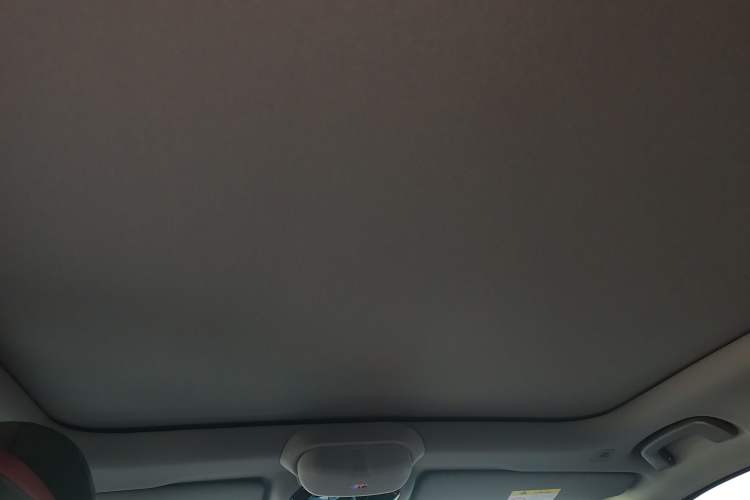 Used BMW 5 Series 2026 530Li Prestige M Sport Package Headliner